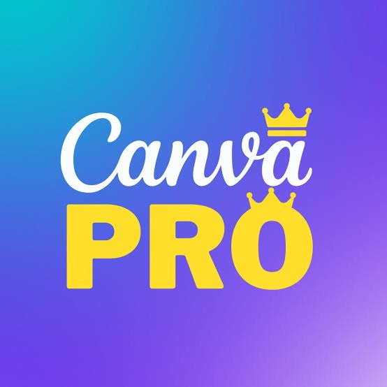 Canva Pro 1 Year on Person Gmail